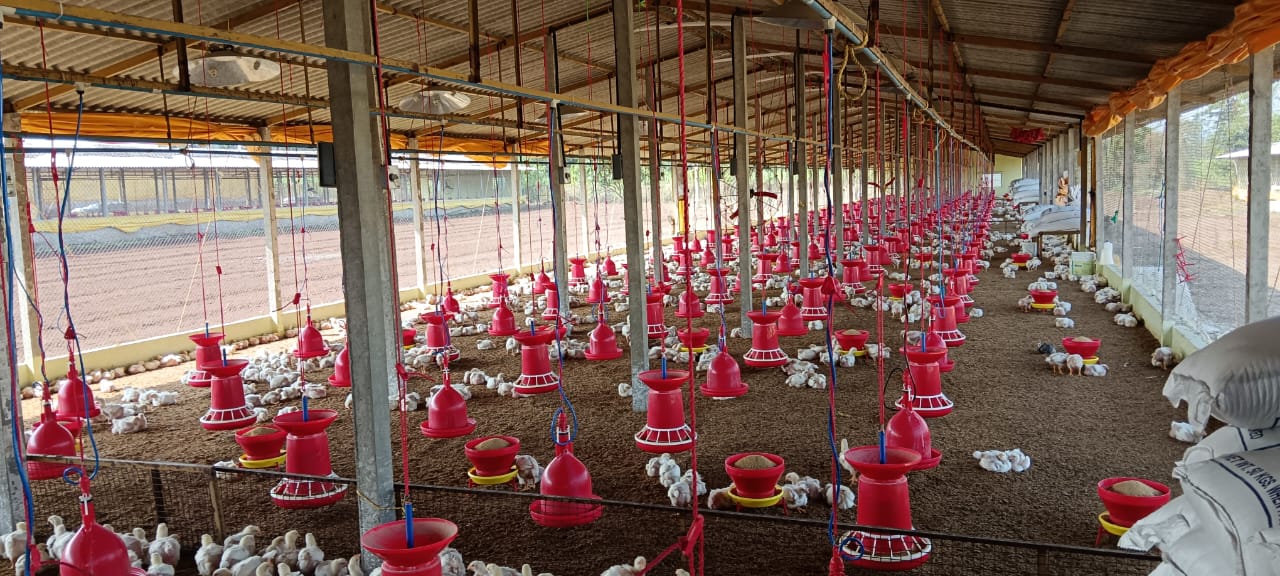 WhatsApp Image 2024-12-13 at 12.53.12 PM (2)